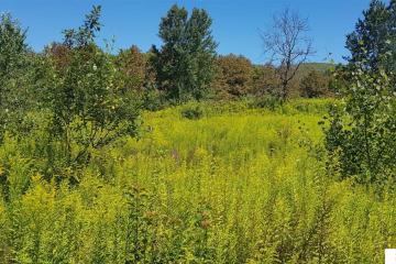 Фото №2: Коммерция 264 м² - Краснодарский край муниципальный округ Горячий Ключ