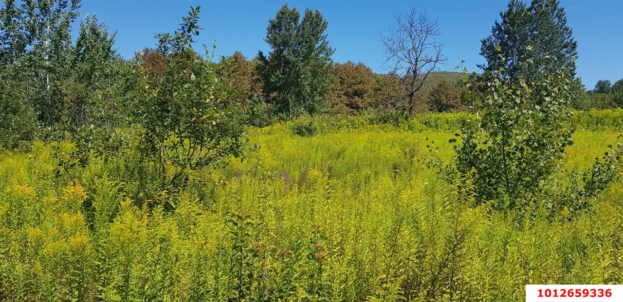 Фото №2: Коммерция 264 м² - Краснодарский край муниципальный округ Горячий Ключ