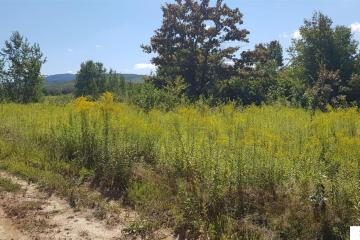 Фото №5: Коммерция 264 м² - Краснодарский край муниципальный округ Горячий Ключ