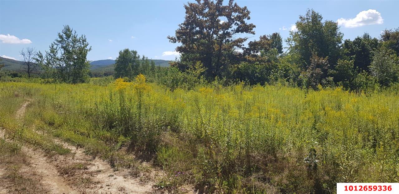 Фото №5: Коммерция 264 м² - Краснодарский край муниципальный округ Горячий Ключ