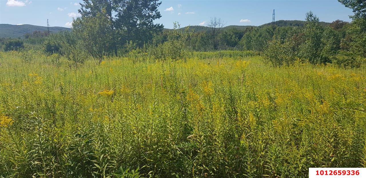 Фото №3: Коммерция 264 м² - Краснодарский край муниципальный округ Горячий Ключ