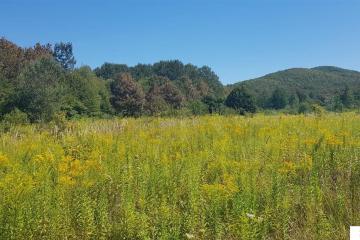 Фото №1: Коммерция 264 м² - Краснодарский край муниципальный округ Горячий Ключ