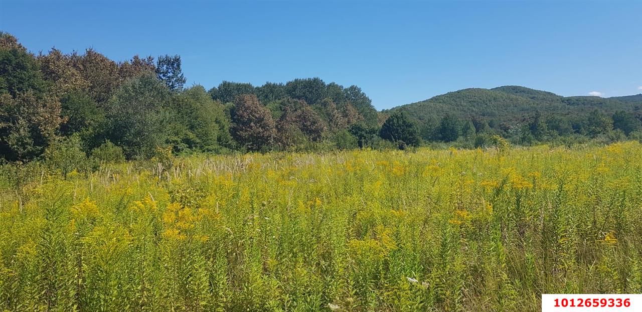 Фото №1: Коммерция 264 м² - Краснодарский край муниципальный округ Горячий Ключ