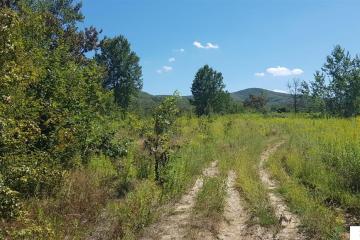 Фото №4: Коммерция 264 м² - Краснодарский край муниципальный округ Горячий Ключ