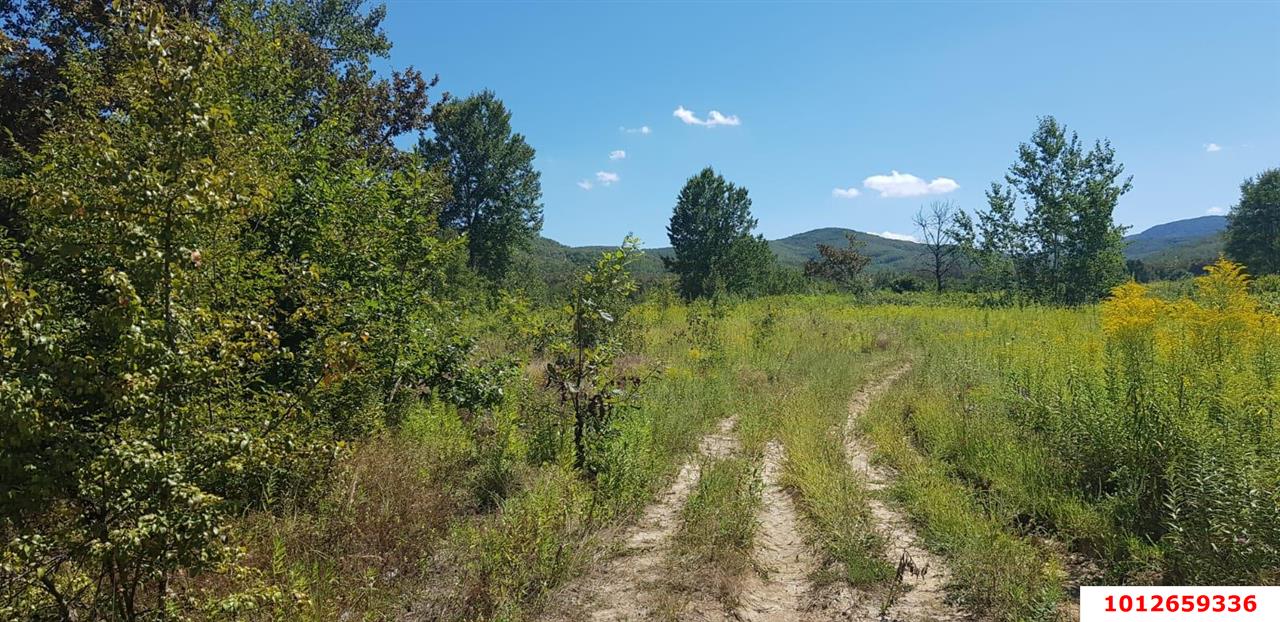 Фото №4: Коммерция 264 м² - Краснодарский край муниципальный округ Горячий Ключ