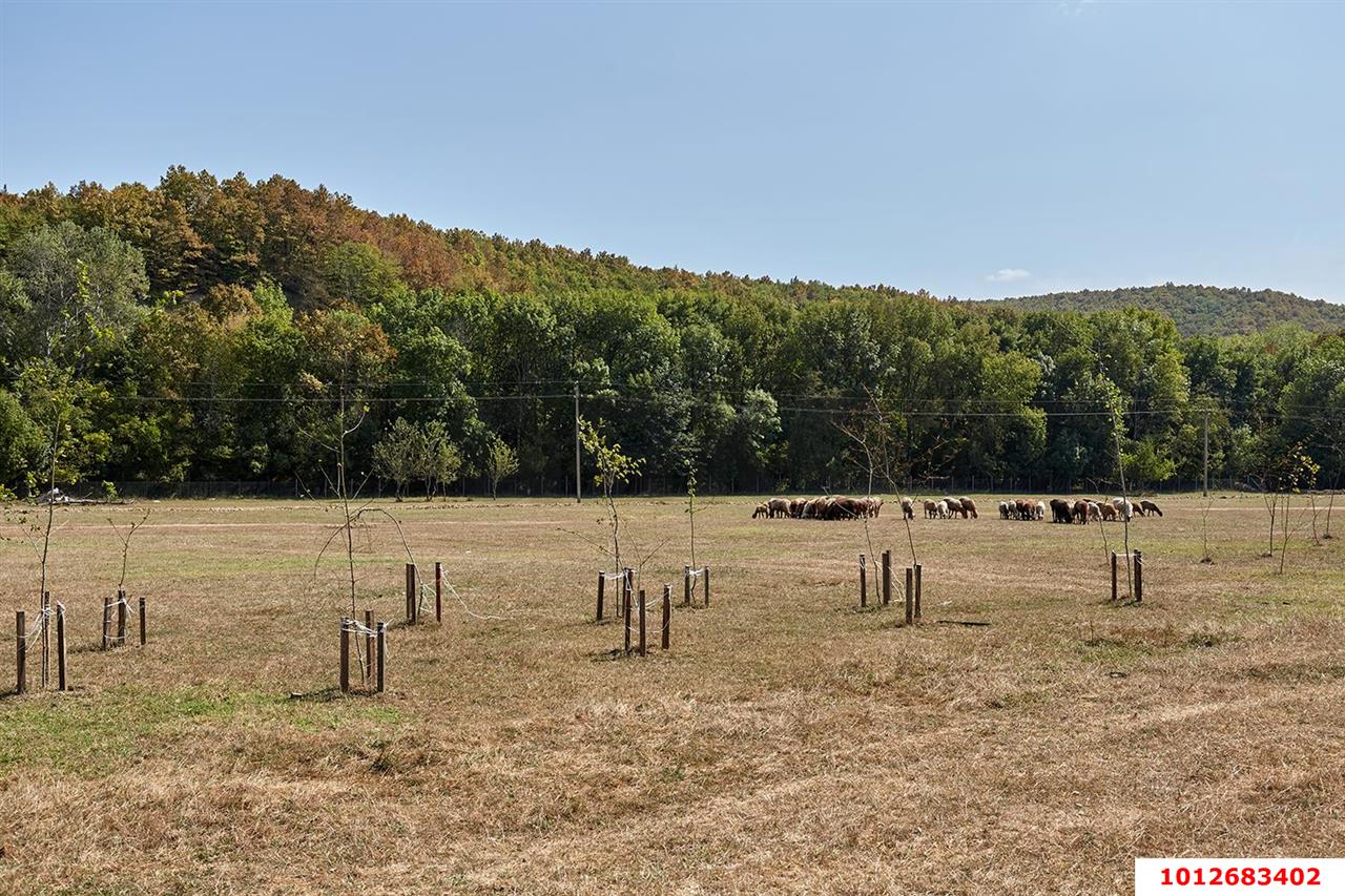 Фото №9: Коммерция 633 м² - Пятигорская, ул. Заречная, 1