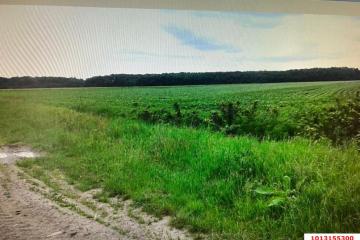 Фото №2: Коммерция 333 м² - Краснодарский край Северский район