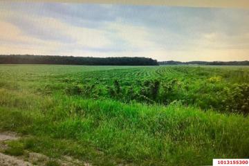 Фото №4: Коммерция 333 м² - Краснодарский край Северский район