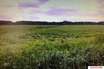 Фото №5: Коммерция 333 м² - Краснодарский край Северский район