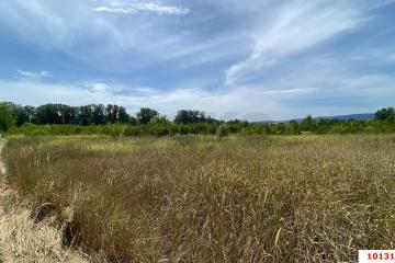 Фото №5: Коммерция 268 м² - Горячий Ключ, 