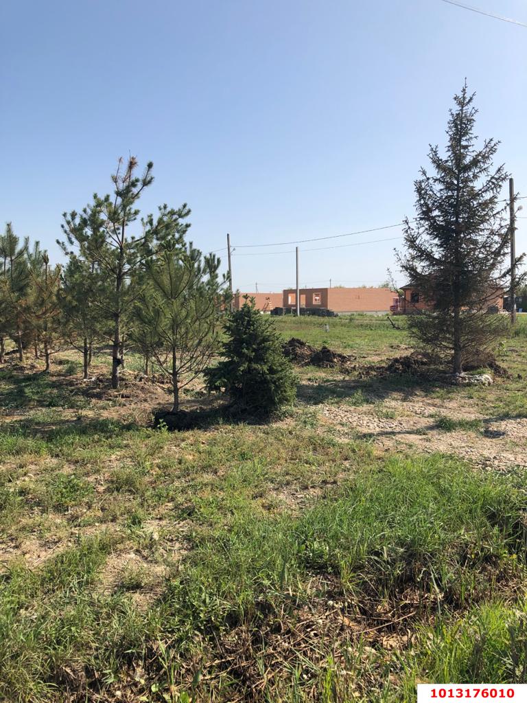 Фото №6: Земельный участок 7.99 сот. - ДНП Предгорье, ул. Университетская, 93