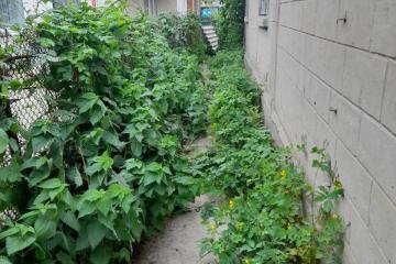 Фото №3: Дом 54 м² - Краснодар, мкр. Карасунский внутригородской округ, ул. Максима Горького, 90