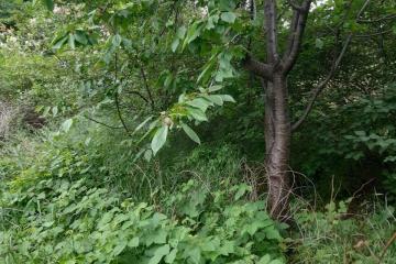 Фото №2: Дом 54 м² - Краснодар, мкр. Карасунский внутригородской округ, ул. Максима Горького, 90