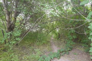 Фото №1: Дом 54 м² - Краснодар, мкр. Карасунский внутригородской округ, ул. Максима Горького, 90