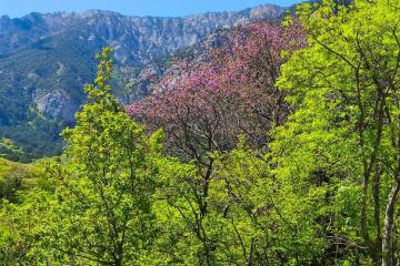 Фото №2: Земельный участок 10 сот. - Горячий Ключ, мкр. Городская Больница, ул. Целинная, 23