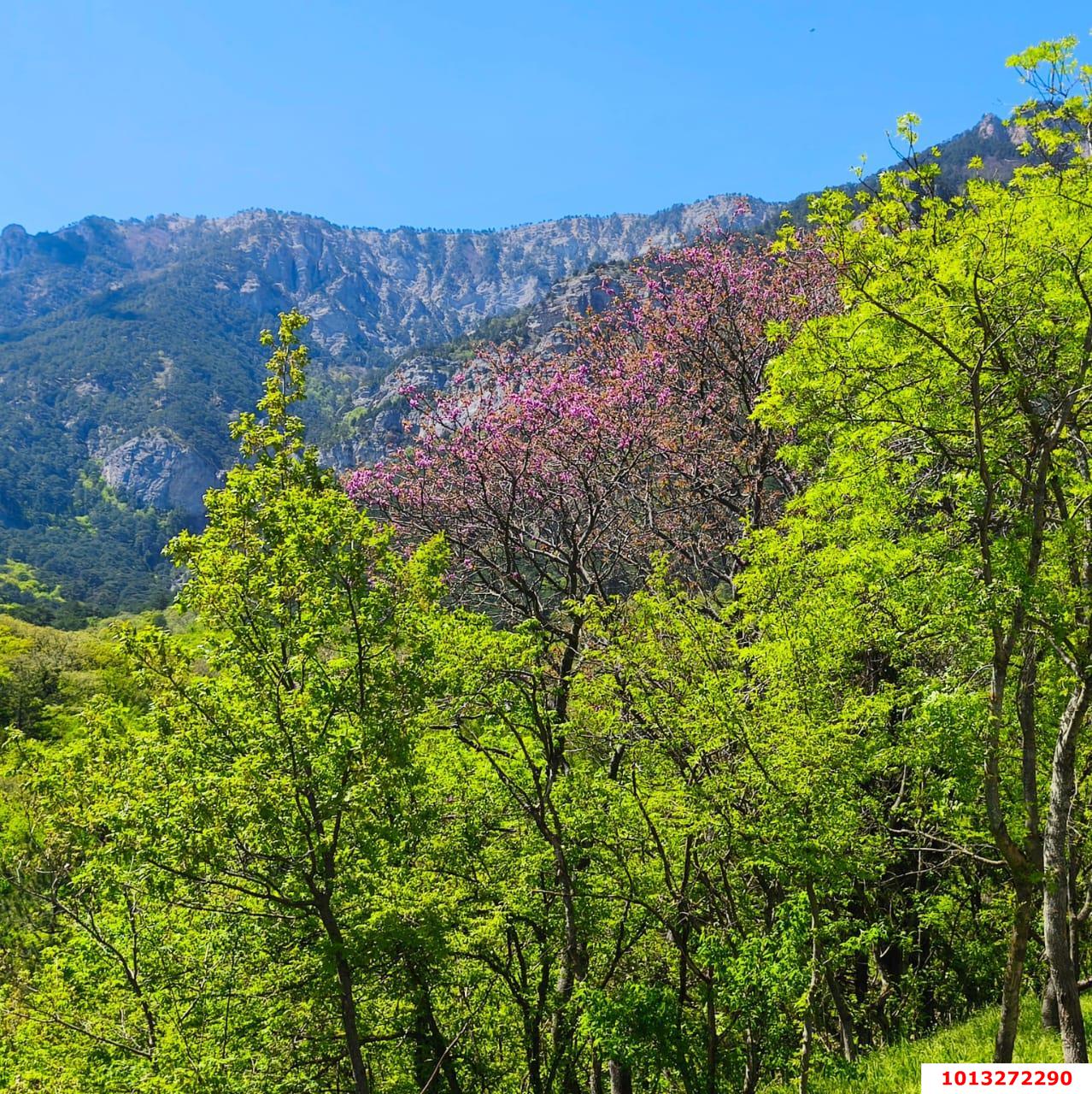 Фото №2: Земельный участок 10 сот. - Горячий Ключ, мкр. Городская Больница, ул. Целинная, 23
