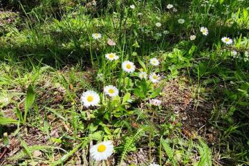 Фото №3: Земельный участок 10 сот. - Горячий Ключ, мкр. Городская Больница, ул. Целинная, 23