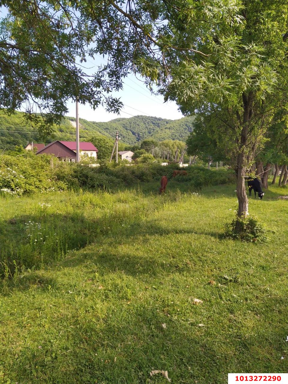 Фото №7: Земельный участок 10 сот. - Горячий Ключ, мкр. Городская Больница, ул. Целинная, 23