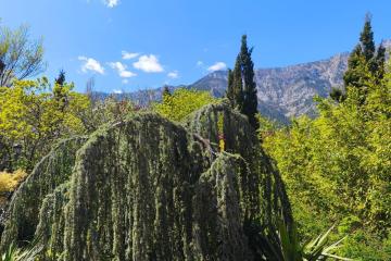 Фото №1: Земельный участок 10 сот. - Горячий Ключ, мкр. Городская Больница, ул. Целинная, 23