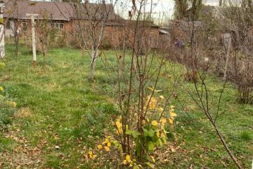 Фото №2: Дом 59 м² - Молькин, ул. Космонавтов, 1