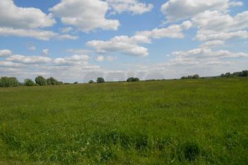 Фото №3: Коммерция 280 м² - Республика Адыгея (Адыгея) Тахтамукайский район