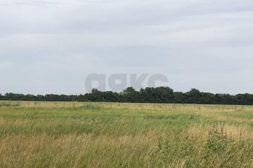 Фото №4: Коммерция 280 м² - Республика Адыгея (Адыгея) Тахтамукайский район