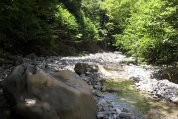 Фото №3: Земельный участок 7 сот. - Сочи, мкр. Головинка, ул. Торговая, 27