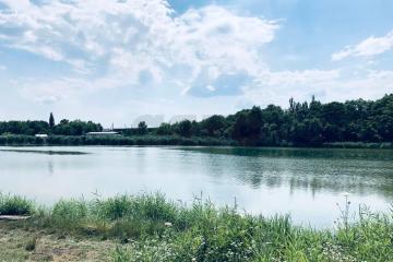 Фото №5: Земельный участок 5 сот. - Республика Адыгея (Адыгея) Теучежский район