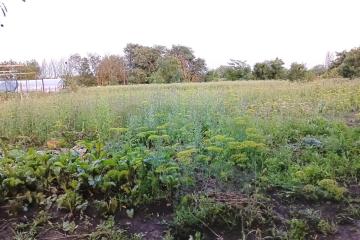 Фото №1: Земельный участок 32.53 сот. - Ивановская, ул. Весёлая, 8