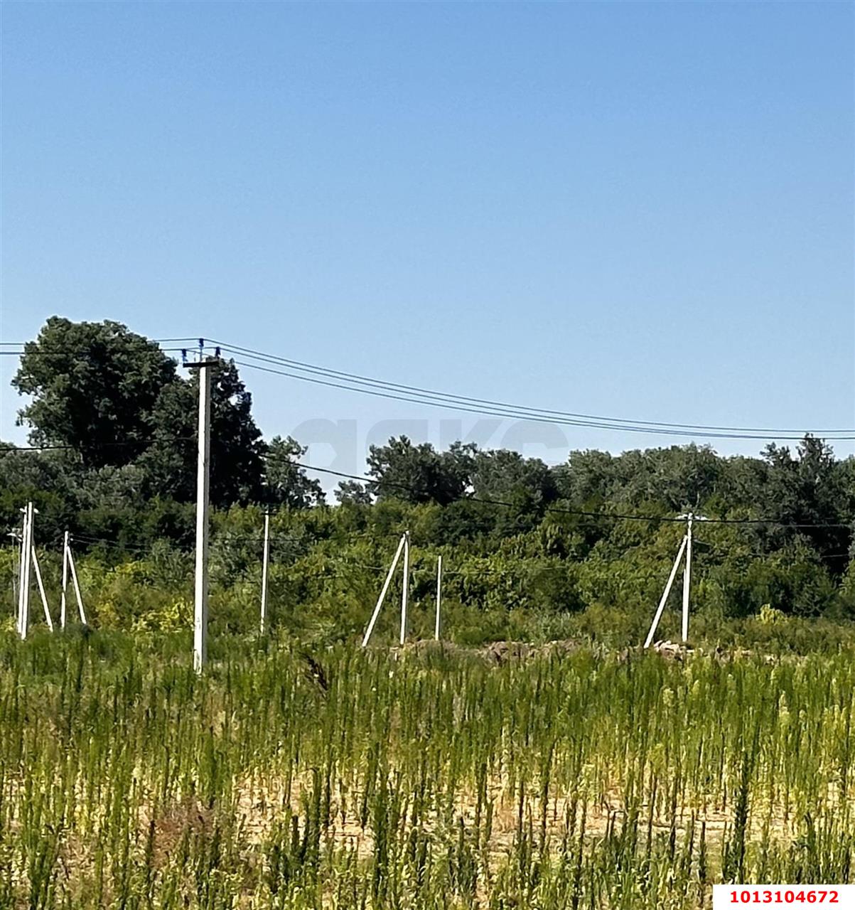 Фото №5: Земельный участок 7.26 сот. - Саратовская, ул. Каштановая, 27