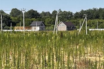 Фото №3: Земельный участок 7.29 сот. - Саратовская, ул. Каштановая, 27