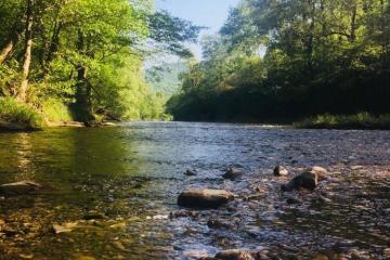 Фото №3: Коммерция 7 м² - ДНП Предгорье, ул. Въездная