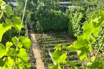 Фото №5: Дом 39 м² - Елизаветинская, ст Кубань, ул. Топольковая, 88