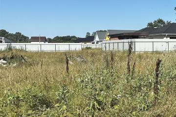 Фото №4: Земельный участок 146.15 сот. - Саратовская, ул. Каштановая, 27