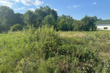 Фото №1: Земельный участок 9 сот. - Ильский, ул. Лесная, 64