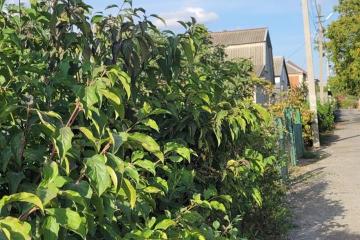 Фото №4: Земельный участок 5.2 сот. - Новый, ст Лесник, ул. Ореховая, 147