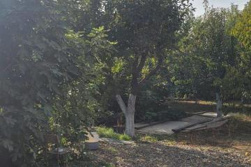 Фото №2: Земельный участок 5.2 сот. - Новый, ст Лесник, ул. Ореховая, 147