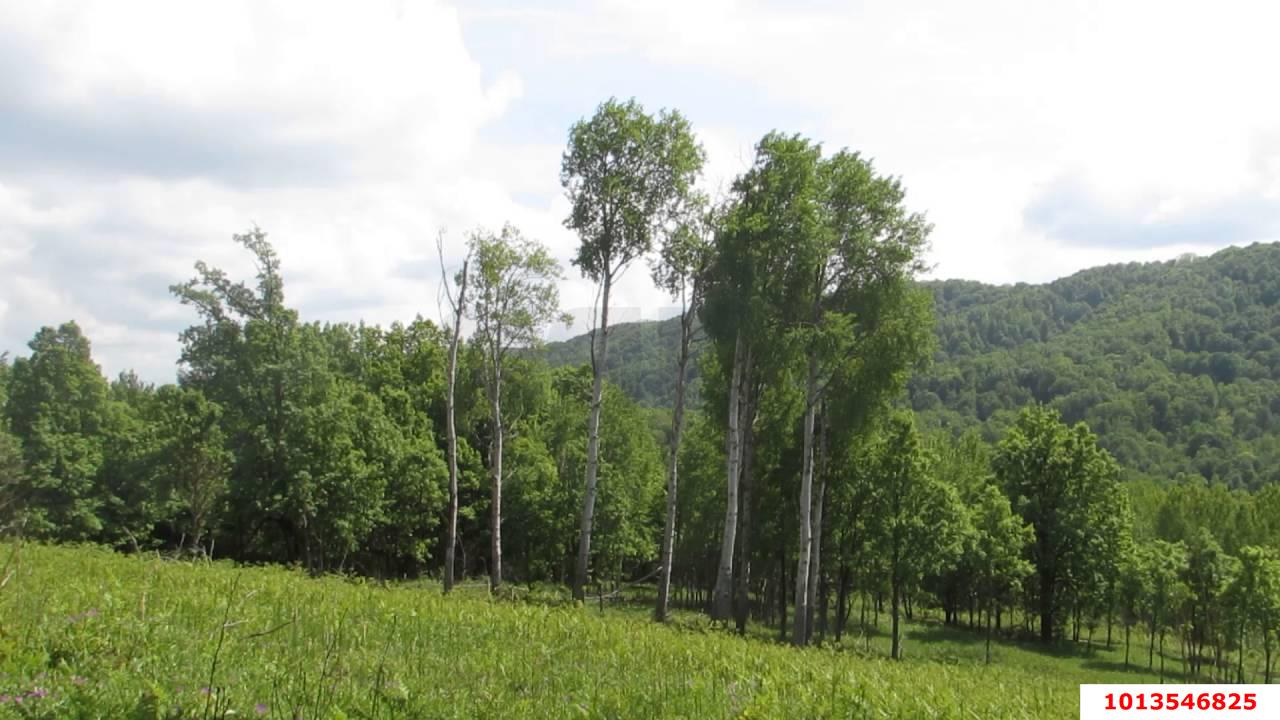 Фото №7: Земельный участок 5.32 сот. - Безымянное, Центральный внутригородской округ, мкр. Дубинка, ул. Октябрьская, 7