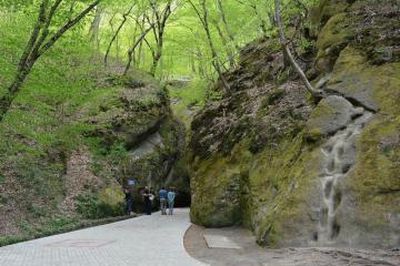 Фото №5: Земельный участок 5.32 сот. - Безымянное, мкр. Дубинка, ул. Октябрьская, 7