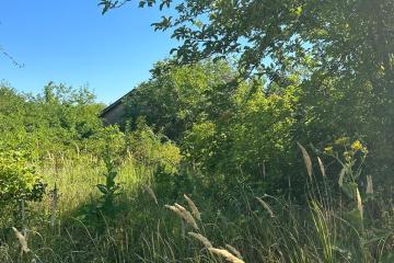 Фото №5: Земельный участок 4 сот. - Елизаветинская, ст Мечта, ул. Солнечная, 53