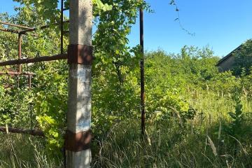 Фото №3: Земельный участок 4 сот. - Елизаветинская, ст Мечта, ул. Солнечная, 53