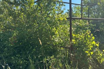 Фото №2: Земельный участок 4 сот. - Елизаветинская, ст Мечта, ул. Солнечная, 53