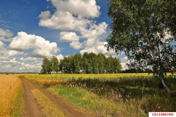 Фото №4: Коммерция 49 м² - Григорьевская, мкр. Прикубанский внутригородской округ, ул. Морская, 1