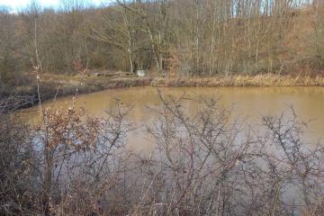 Фото №5: Коммерция 976 м² - Ильский, 