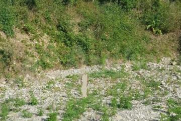 Фото №5: Земельный участок 9 сот. - Бжид, мкр. Бухта Инал, 