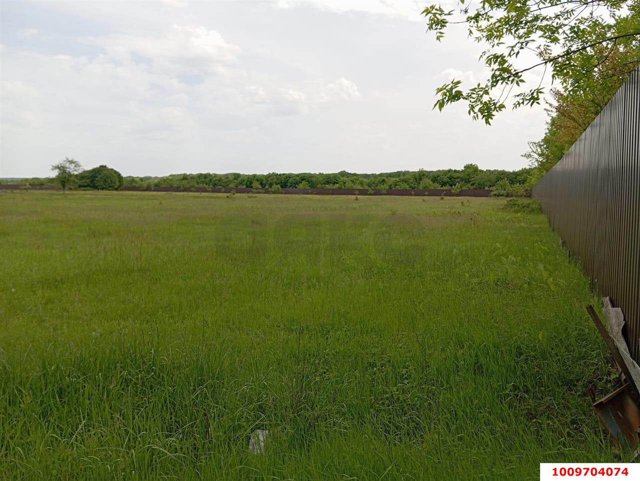 Фото №9: Коммерция 1505 м² - Саратовская, Прикубанский внутригородской округ, мкр. Славянский, ул. Табачная, 41