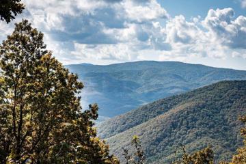 Фото №1: Земельный участок 6.06 сот. - Безымянное, ул. Таманская, 39