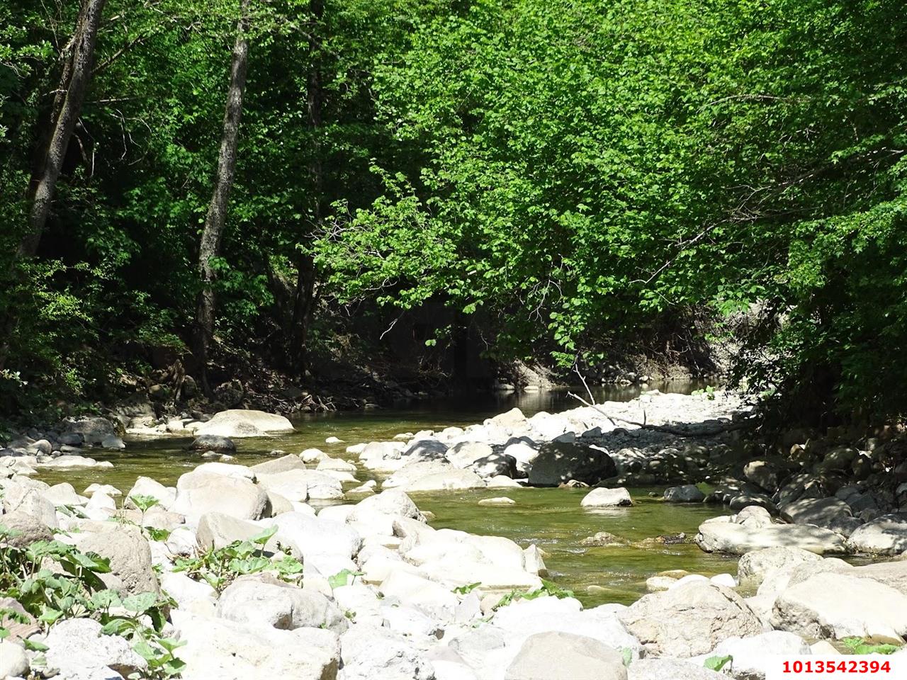 Фото №7: Земельный участок 6.06 сот. - Безымянное, ул. Таманская, 39