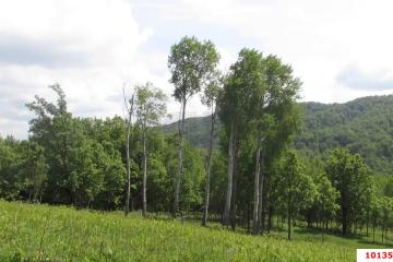 Фото №2: Земельный участок 8.34 сот. - Безымянное, ул. Таманская, 39