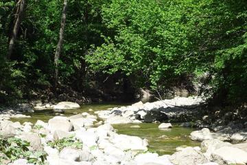 Фото №5: Земельный участок 8.34 сот. - Безымянное, ул. Таманская, 39